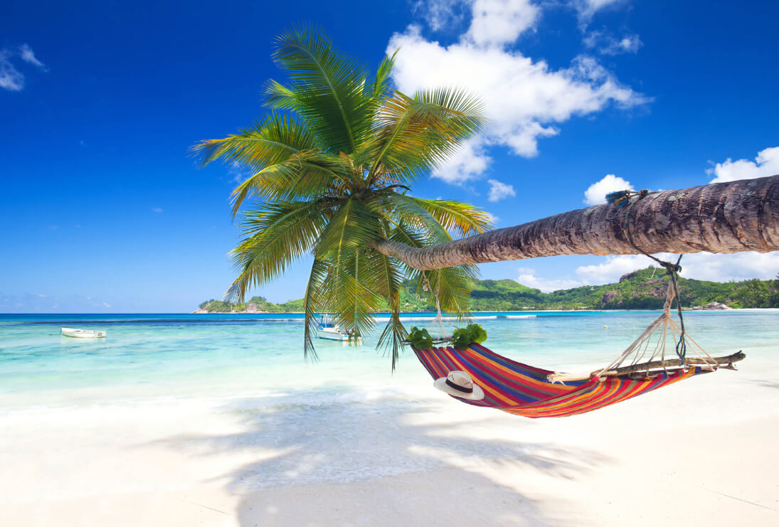 Palms, hammock and the sea